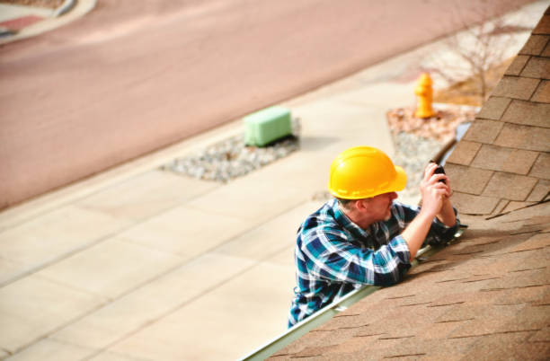 Best Roof Moss and Algae Removal  in Seneca Knolls, NY